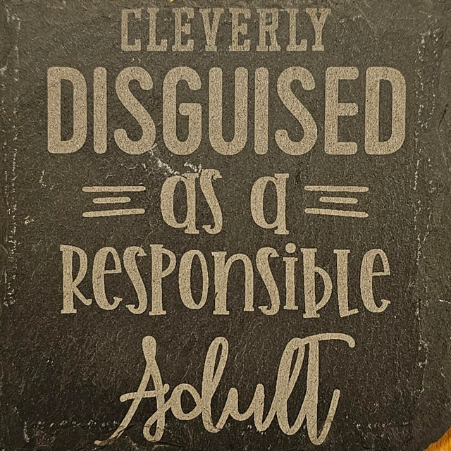 Cleverly disguised as a responsible adult slate coaster