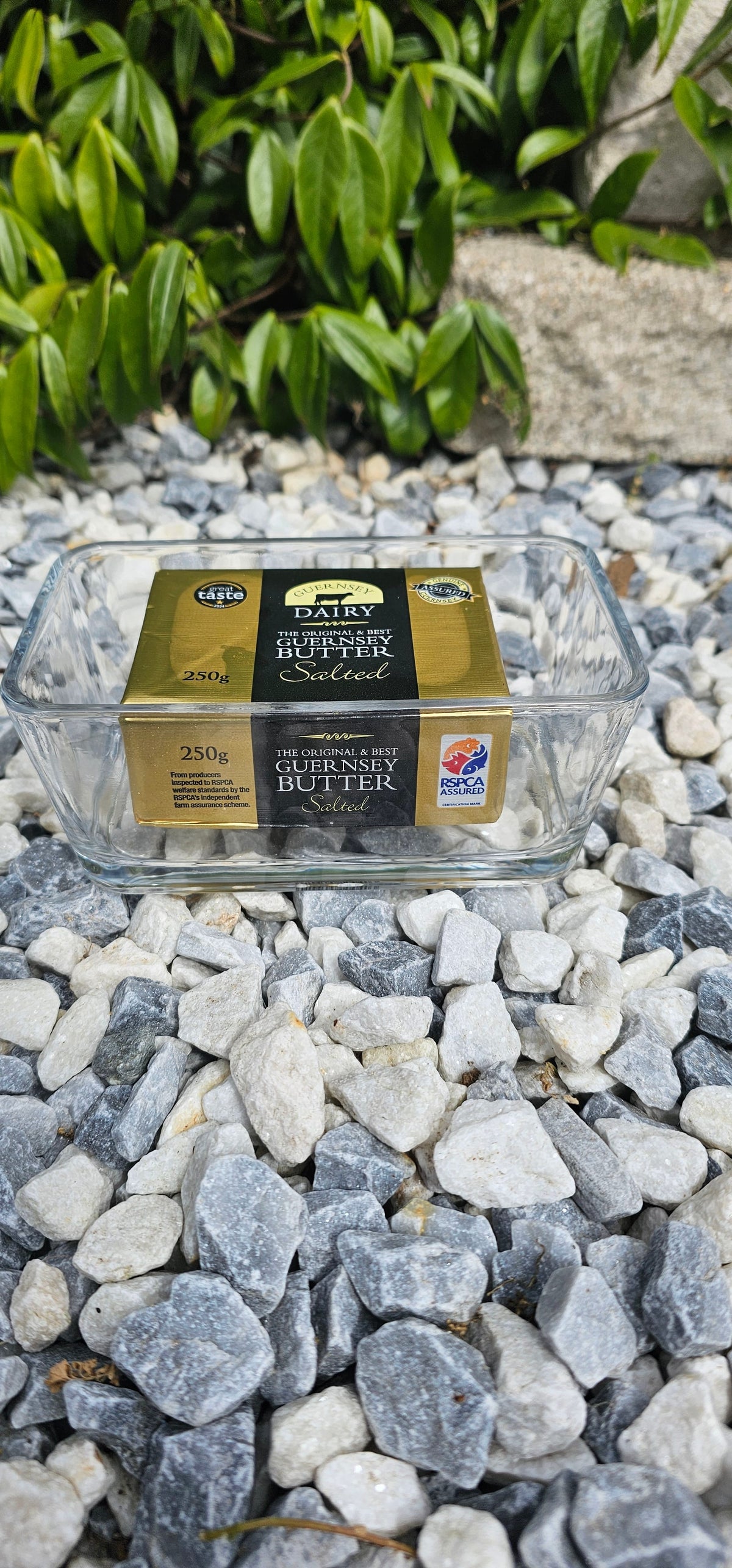 Guernsey butter dish with wooden lid, side view